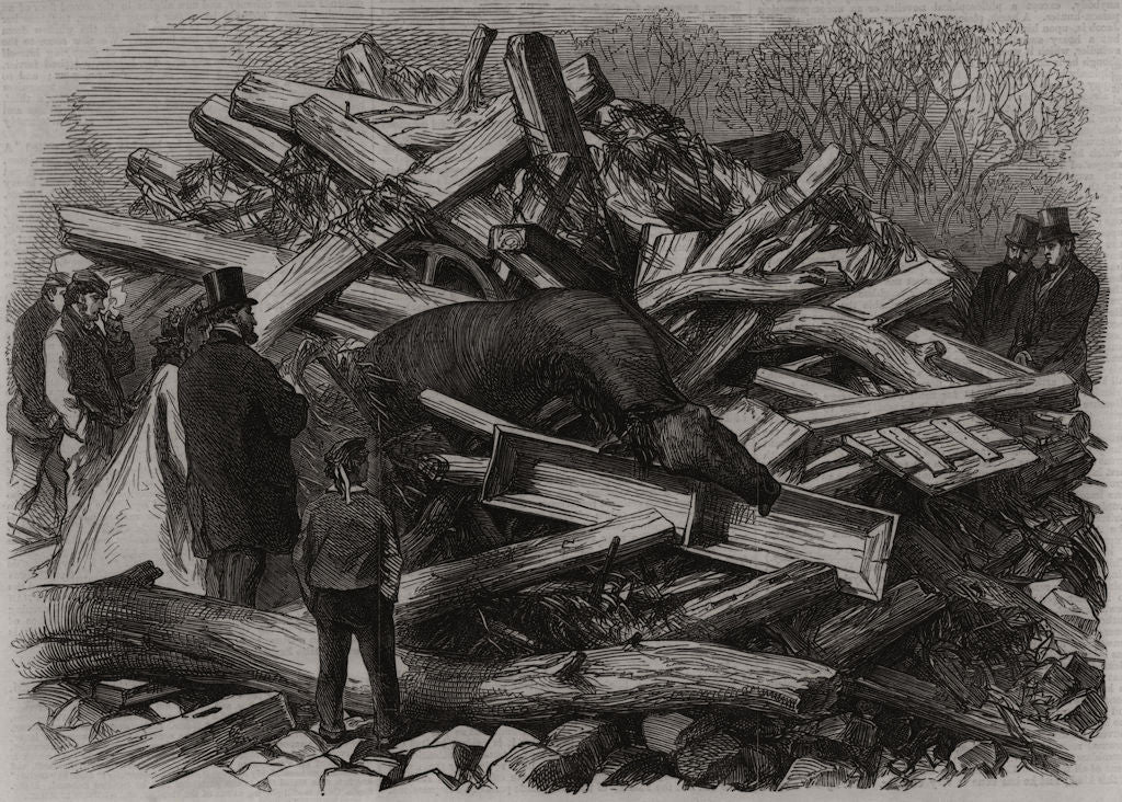 The flood at Sheffield: Scene in a garden at Hillsborough. Yorkshire 1864